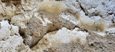 Enlarge photo 257