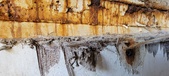 Enlarge photo 261