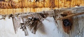 Enlarge photo 260