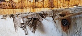 Enlarge photo 259