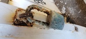 Enlarge photo 263