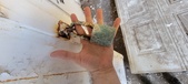 Enlarge photo 262