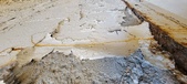 Enlarge photo 269