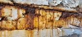 Enlarge photo 266