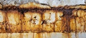 Enlarge photo 273