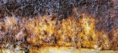 Enlarge photo 271