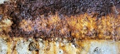 Enlarge photo 277