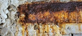 Enlarge photo 276