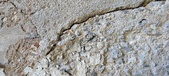 Enlarge photo 274
