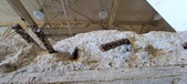Enlarge photo 281