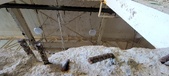 Enlarge photo 280