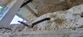 Enlarge photo 278