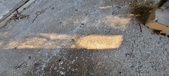 Enlarge photo 285