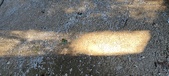 Enlarge photo 284