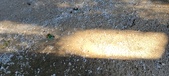 Enlarge photo 282