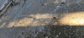 Enlarge photo 289