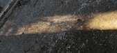 Enlarge photo 288