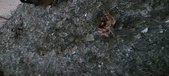 Enlarge photo 291