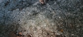 Enlarge photo 290