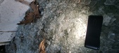 Enlarge photo 296