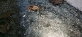 Enlarge photo 295
