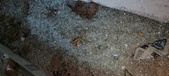 Enlarge photo 294