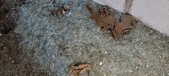 Enlarge photo 299
