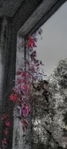 Enlarge photo 313