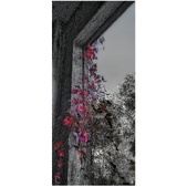 Enlarge photo 311