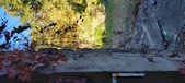 Enlarge photo 317