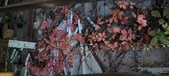 Enlarge photo 320