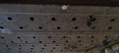 Enlarge photo 327