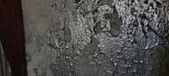 Enlarge photo 334