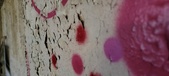 Enlarge photo 343