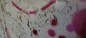 Enlarge photo 342