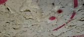 Enlarge photo 348
