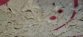 Enlarge photo 347