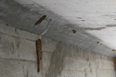 Enlarge photo 350
