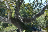 Enlarge photo 351