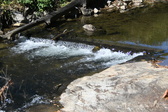 Enlarge photo 352