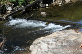 Enlarge photo 356