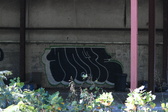 Enlarge photo 357