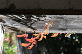 Enlarge photo 360