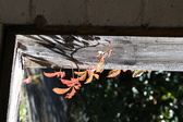 Enlarge photo 364