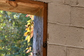 Enlarge photo 374