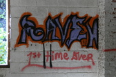 Enlarge photo 372