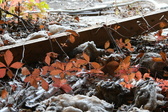 Enlarge photo 189