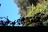 Enlarge photo 193