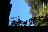 Enlarge photo 192