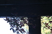 Enlarge photo 191